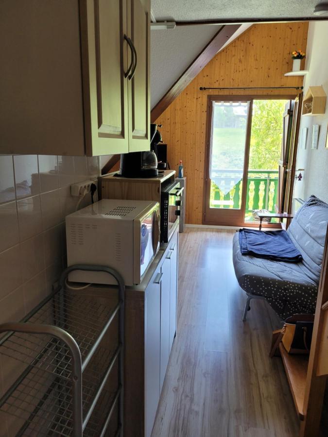 Duplex Apartment